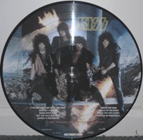 Animalize picture disc back