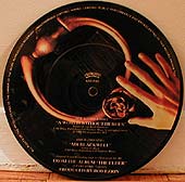 Elder pic disc back